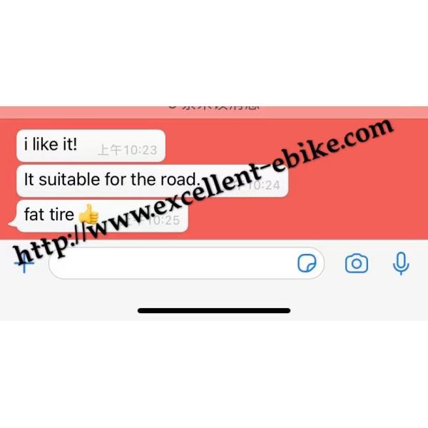 3 Wheel Electric Trike Mobility Scooter Bike Fat Tire Street Legal