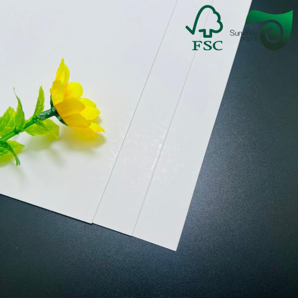 FSC 215gsm 350gsm One Side Coated Food Grade Bleached Cardboard 770mm 1100mm