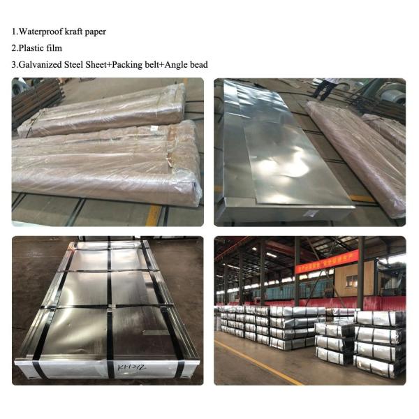 600g/M2 Gi Hot Dipped Galvanized Steel Coils Sheet SGLCD SGLC490 SGLC570