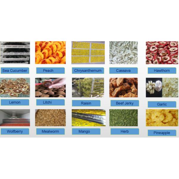 PLC System Safe Dryer Oven Machine Easy To Clean For Bean Pumpkin