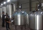 10BBL Stainless Steel Beer Fermentation Tank Ss 316 3000l Conical Lager Large