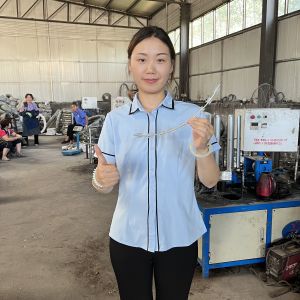 Manufacturer Supply 500mm Coil Diameter Concertina Razor Barbed Wire