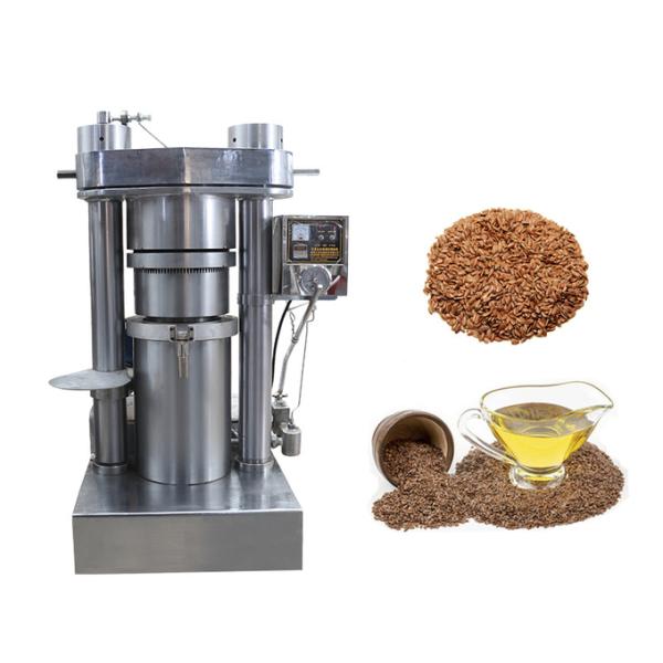 High Efficiency Small Scale Oil Extraction Machine Cooking Oil Extraction Machine