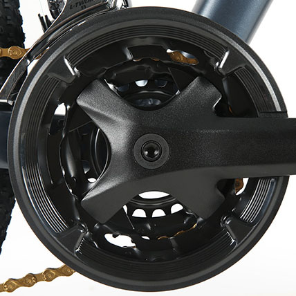 250W 750w Electric City Bike 16.5AH Battery Dual Motor For Adults