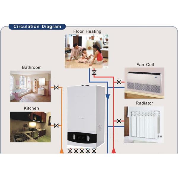 Multi Function Wall Hung Gas Boiler Propane Gas Water Heater