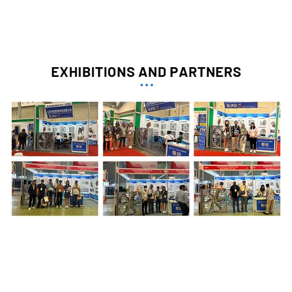 Qingzhou Factory 50inch Electric Centrifugal Exhaust Fan Poultry Push Pull Fan for Farm Industrial Chicken House OEM ODM