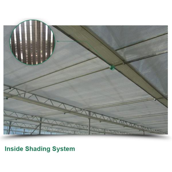 Flower Vegetable Growing High Venlo Tempered Glass Greenhouse with Hydroponic System