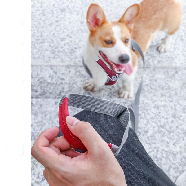 Small Medium Sized Reflective Vest Type Dog Traction Rope Anti Break Off