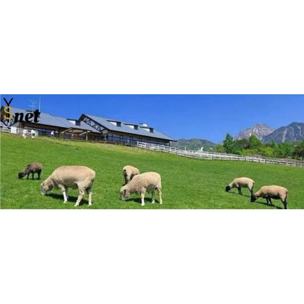 Agriculture Builders Green Netting 50GSM - 340GSM Green Mesh For Construction