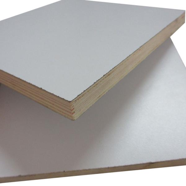 Birch Core Film Faced Plywood
