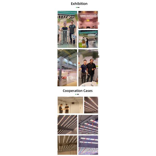 Two Channel Dimmable Full Spectrum Plant Light Commercial LED Plant Grow Light Bar