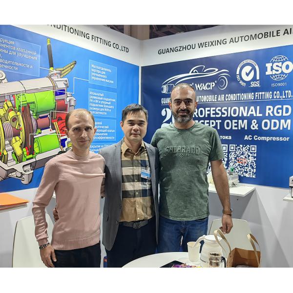 64526998210 Electric Car AC Compressor HVCC33 Auto AC Electric Compressor For BMW 3/X1/I3 WXHB019