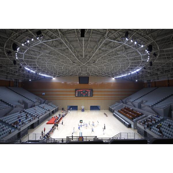 2X2 Customized PC 5050 LED Chips Stadium Lights LENS Polarizing 60 degrees