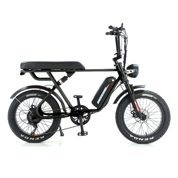 Double Disc Brake 48V 1000W Motor Ebike 20 Inch Electric Fat Tire Bicycle With Kenda Tire