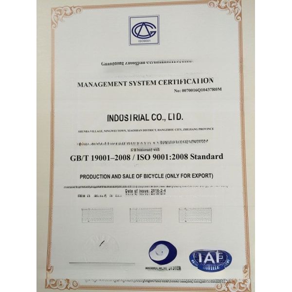 24" V Brake/ Disc Brakes 4.0 Tire Single Speed Chopper Bicycle for American Market