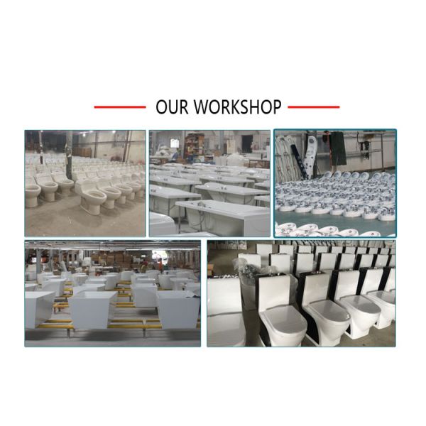 Skirted Dual Flush Two Piece Toilets White P Trap Wc With Water Tank Split