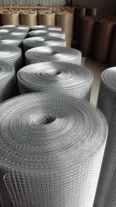 Quality 1/2&quot; , 12.5mm Opening Hot Dipped Galvanized Welded Wire Mesh for Outside Usuage With Above 6 Years Life Span wholesale