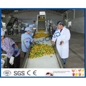 Pineapple Mango Processing Line , Fruit Juice Mango Pulp Processing Plant