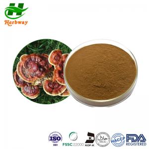 China Reishi Mushroom Extract Powder Ganoderma Lucidum Extract 223751-82-4 on sale