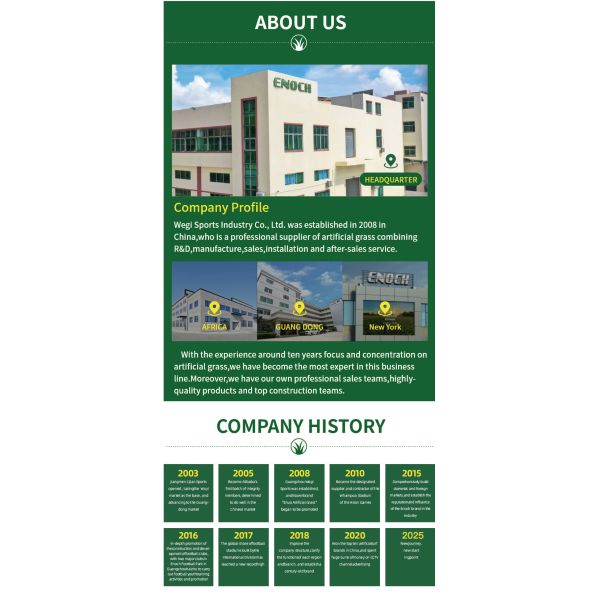 Customized Durable Outdoor Padel Court Tennis Court With Anti-Slip Turf 10x20m Indoor Outdoor Cricket Court