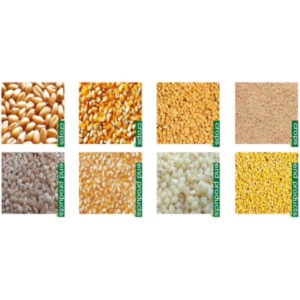 Multi function Maize/corn Peeling Machine with polishing