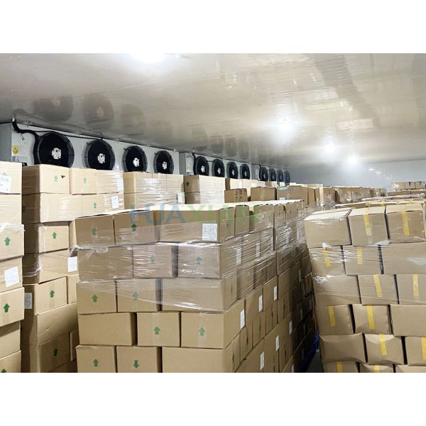 Low Temperature Walk In Freezer -18~-20°C Adjustable For Fish Meat Poultry