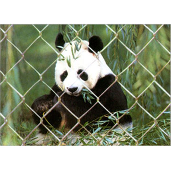 X Tend Expanded Stainless Steel Zoo Mesh , SS 304 Zoo Enclosure Materials