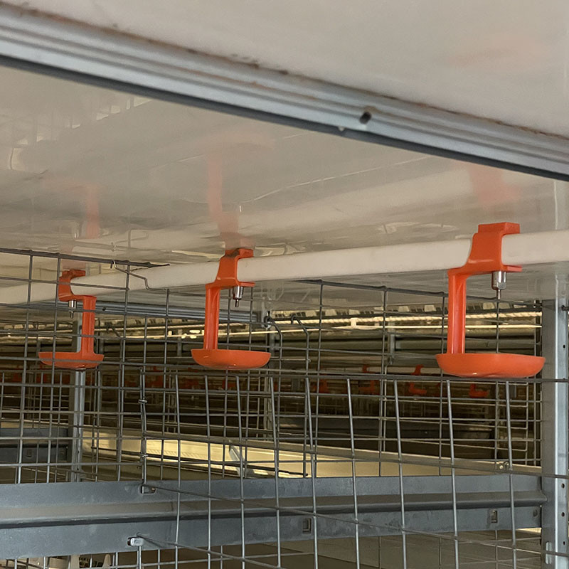 Poultry Farming Battery Layer Chicken Cages H Type
