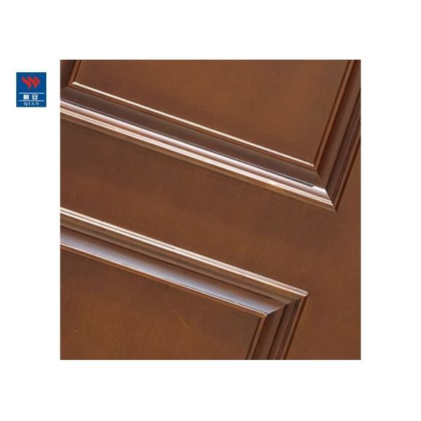 Home Front MDF Internal Minimalist Wood Door