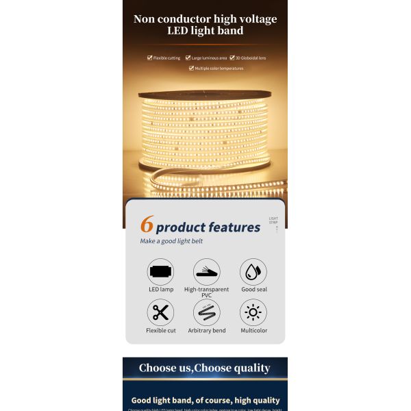 Single Color LED Flexible Strip Light 220V 110V IP65 Wanterproof