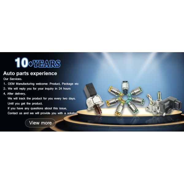 High Quality OEM 13517595339 for BMW High Pressure Fuel Pump 550i 650i 750i X5 X6