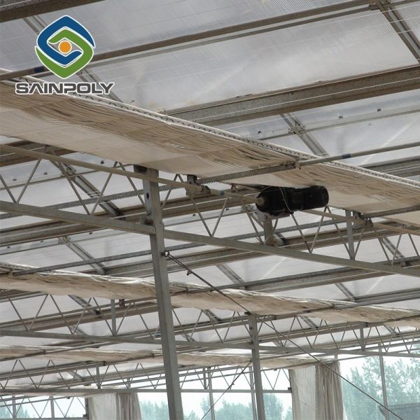 Venlo Greenhouse Commercial Polycarbonate Greenhouse For Seeds Vegetables Hydroponic Tomato Cucumber