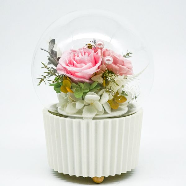 3-5 Years Lasting Preserved Rose Glass Dome Beautiful Home Decor Day Gift