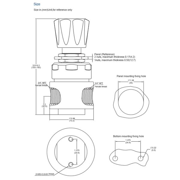 AFK R13 Stainless Steel Industrial Gas Pressure Regulator For Helium Nitrogen Gas Co2