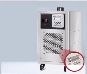 China 40g Ozone Purifier Machine O2 Generator 60g/h For Garage Air Cooling on sale