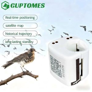 Quality IP67 Waterproof Bird GPS Monitoring System 5-15m Accuracy With Multi Unit Tracking wholesale