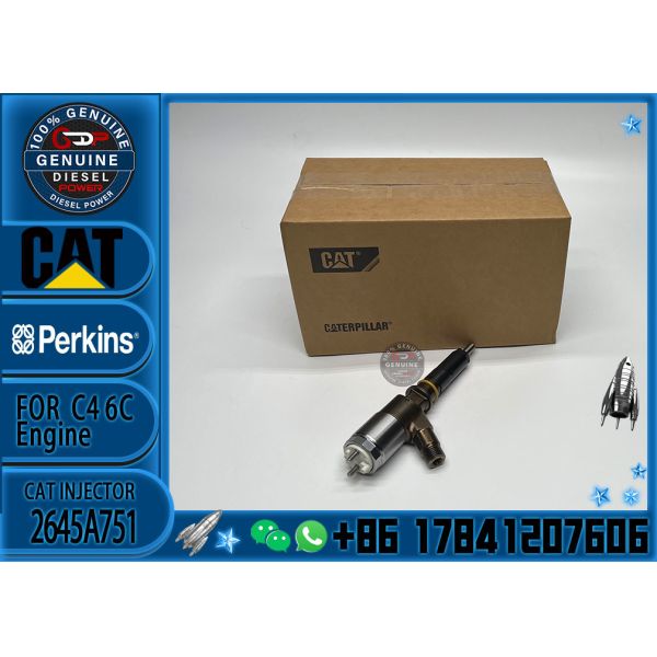 High Quality Professional Densos Gasoline Car Fuel Common Rail Diesel Electric Fuel Injector Assy 2645A751 2645A746 2645