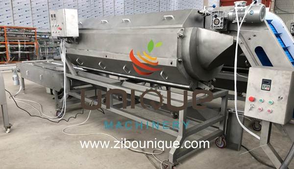 Washing and Peeling Function Stainless Steel Peeler Machine for Frozen Root Vegetables