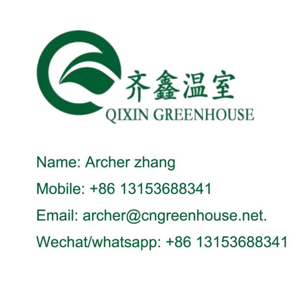 Large Glass Covered Garden Greenhouses for Versatile Planting Options