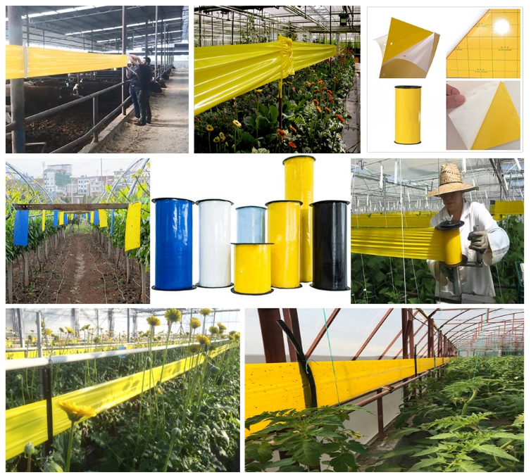 Wall Type Fly Insect 10000pcs/H Mouse Trap Making Machine