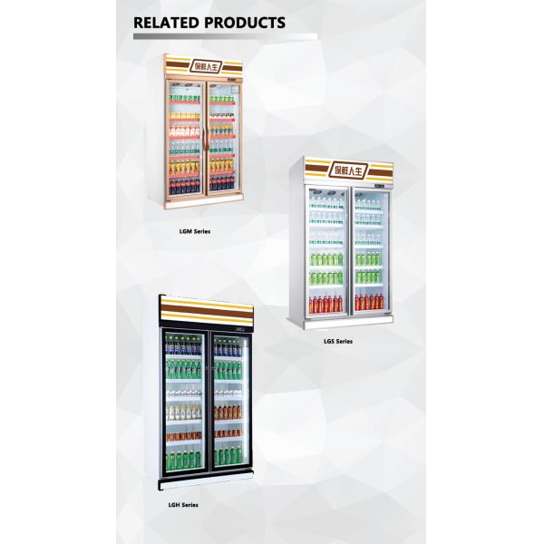 Commercial Big Capacity Upright Refrigerator Stainless Steel Refrigeration Equipment