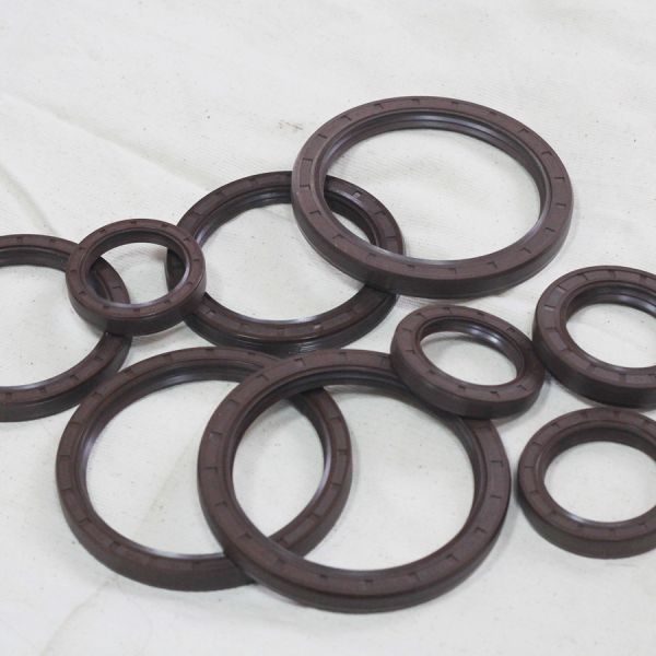 NBR/FKM Oil Resistant Double Lip Skeleton TC Oil Seal for OEM/ODM Any Color Selection