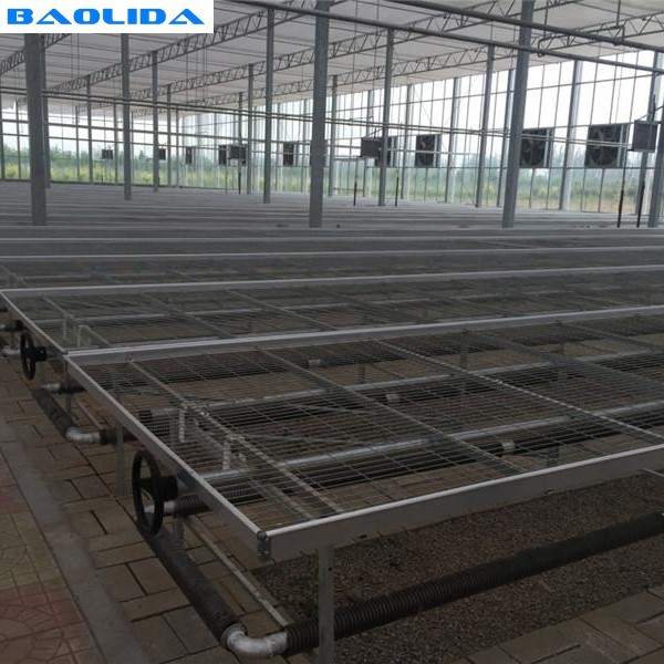 Commercial Seedbed Wire Rolling Greenhouse Benches For Flowers