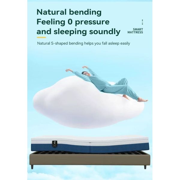 MIENSI M100 Queen Size Bed Smart Mattress Adjustable Firmness Mattress With Dual Motor Drive