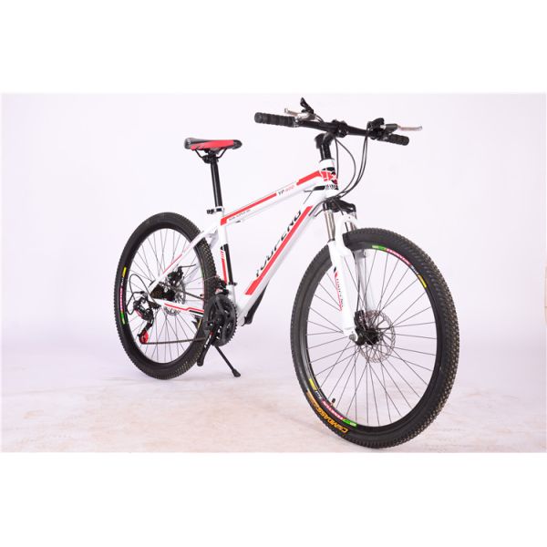 Hot sale OEM 21 speed double wall rim white hi ten steel mountain bike with suspension