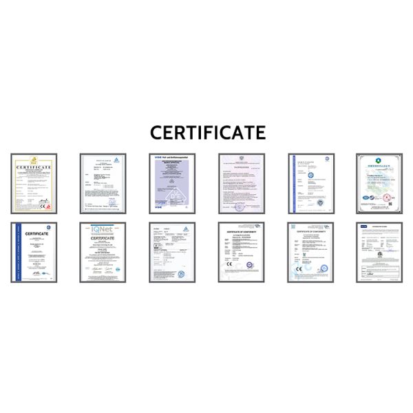 DC 200V-1000V Output Voltage KIWI 60kW CCS CHAdeMO Electric Car Charger for Charging