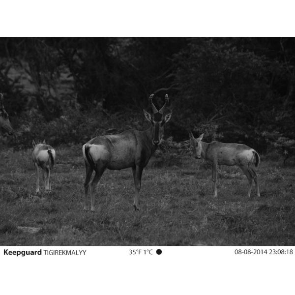 Full HD 1080P 12MP Stealth Cam Hunting Games Camera Night Vision Trail Camera