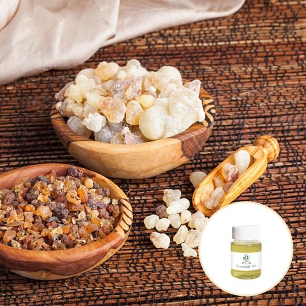 Wholesale Price Organic Myrrh Essential Oil For Body SPA Cosmetics/Massage