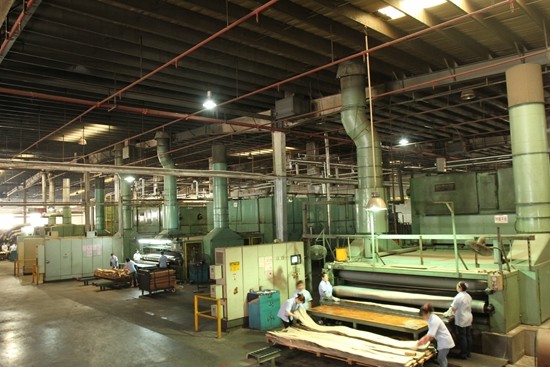 Customized Burl Veneer Plywood Board Fancy Root Canal Veneer