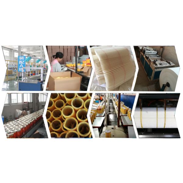 Truck Engine Fuel Filter FF63009 5303743 For Diesel Fuel System